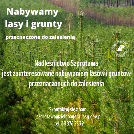 NABYWAMY LASY I GRUNTY DO ZALESIENIA