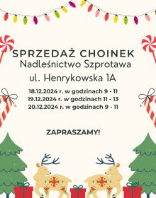 Sprzedaż choinek Nadleśnictwo Szprotawa